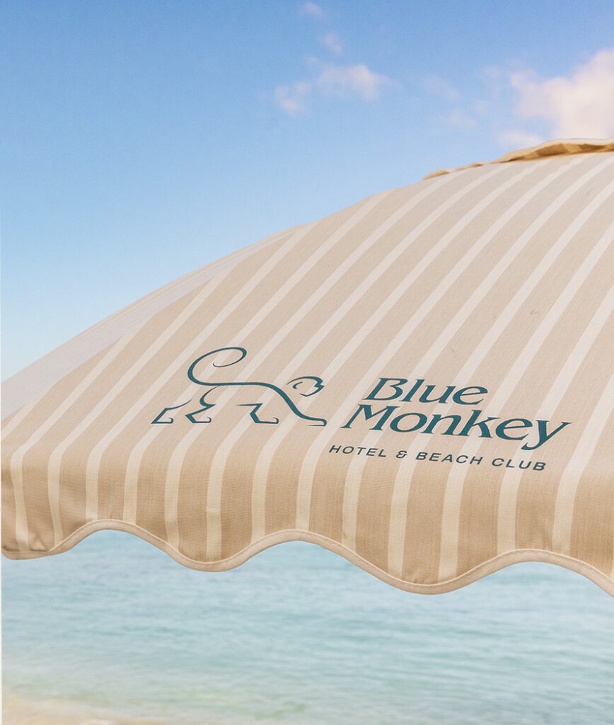 Blue Monkey Resort in Barbados chooses Paired Plus salon and spa software by Prosolutions for their Opera OHIP integration